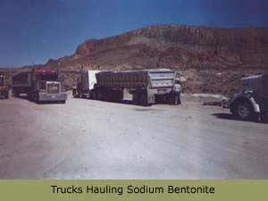 Trucks hauling sodium bentonite