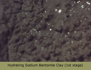 Hydrating sodium bentonite clay